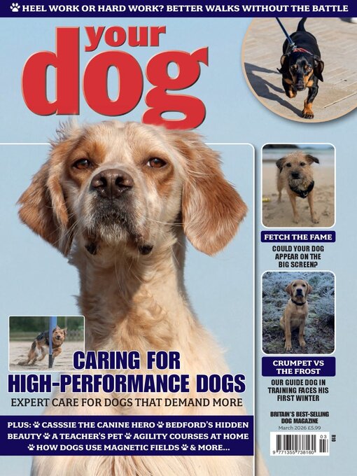 Title details for Your Dog by Warners Group Publications Plc - Available